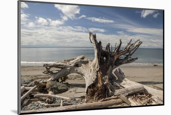 Driftwood-Aaron Matheson-Mounted Photographic Print