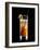 Drink Made with Jägermeister and Red Bull-Walter Pfisterer-Framed Photographic Print