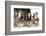 Drinkers-Presse ’E Sports-Framed Photographic Print