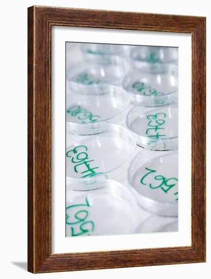 Drinking Water Testing-Paul Rapson-Framed Photographic Print