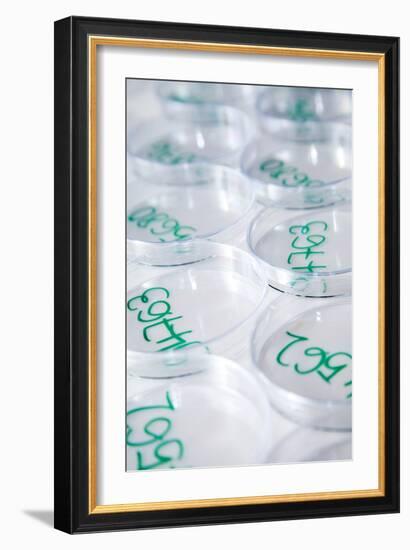 Drinking Water Testing-Paul Rapson-Framed Photographic Print