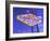 Drive Carefully Sign, Las Vegas, Nevada, USA-Gavin Hellier-Framed Photographic Print