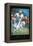 Drive - Football-Unknown Unknown-Framed Stretched Canvas