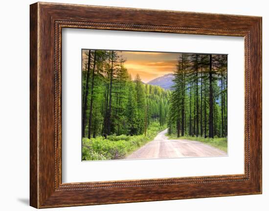 Drive through Pine Woods in Montana-SNEHITDESIGN-Framed Photographic Print