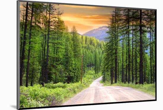 Drive through Pine Woods in Montana-SNEHITDESIGN-Mounted Photographic Print