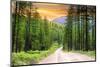 Drive through Pine Woods in Montana-SNEHITDESIGN-Mounted Photographic Print