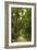 Drive to Coconut Grove, C.1910-null-Framed Giclee Print