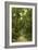 Drive to Coconut Grove, C.1910-null-Framed Giclee Print
