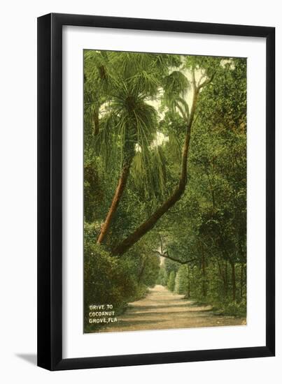 Drive to Coconut Grove, C.1910-null-Framed Giclee Print