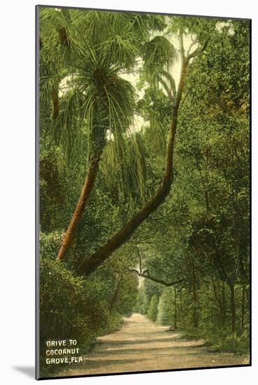 Drive to Coconut Grove, C.1910-null-Mounted Giclee Print