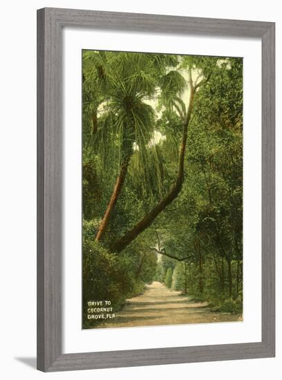 Drive to Coconut Grove, C.1910-null-Framed Giclee Print