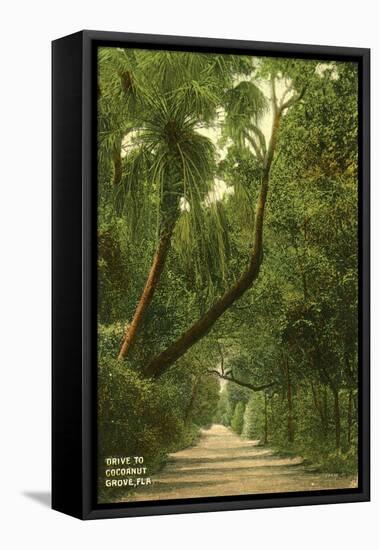 Drive to Coconut Grove, C.1910-null-Framed Premier Image Canvas