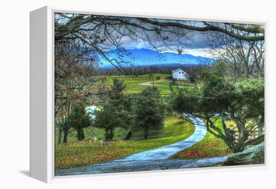 Driveway View-Robert Goldwitz-Framed Premier Image Canvas