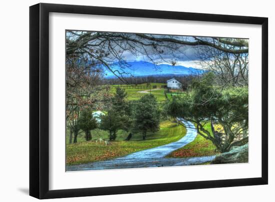 Driveway View-Robert Goldwitz-Framed Photographic Print