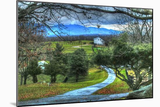 Driveway View-Robert Goldwitz-Mounted Photographic Print