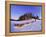 Driving a Dogsled with a Team of 8 Siberian Huskies, Karelia, Finland, Europe-Louise Murray-Framed Premier Image Canvas