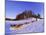 Driving a Dogsled with a Team of 8 Siberian Huskies, Karelia, Finland, Europe-Louise Murray-Mounted Photographic Print