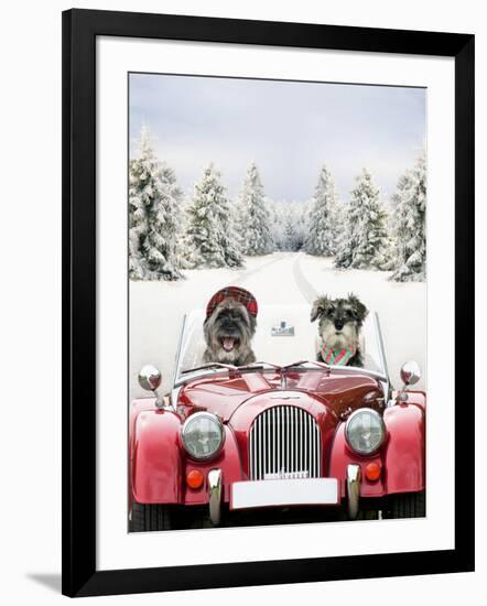 Photographic Print, , large