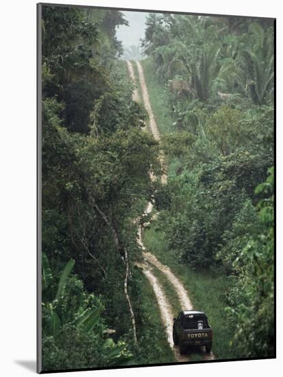 Driving in the Rain Forest, Lubaantun, Toledo District, Belize, Central America-Upperhall-Mounted Photographic Print
