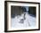 Driving Siberian Huskies, Karelia, Finland, Scandinavia, Europe-Louise Murray-Framed Photographic Print