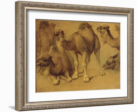 Dromadaires-Pieter Boel-Framed Giclee Print