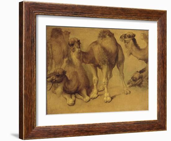 Dromadaires-Pieter Boel-Framed Giclee Print