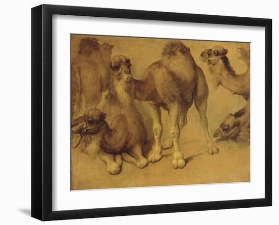 Dromadaires-Pieter Boel-Framed Giclee Print