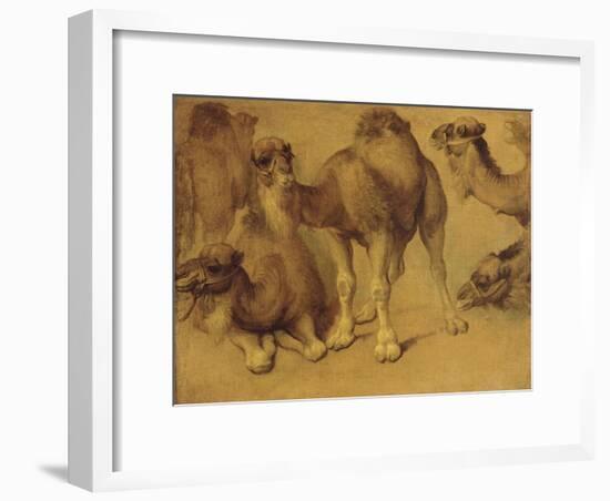 Dromadaires-Pieter Boel-Framed Giclee Print