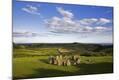Photographic Print