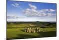 Photographic Print