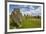 Drombeg stone circle, near Clonakilty, County Cork, Munster, Republic of Ireland, Europe-Nigel Hicks-Framed Photographic Print