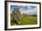 Drombeg stone circle, near Clonakilty, County Cork, Munster, Republic of Ireland, Europe-Nigel Hicks-Framed Photographic Print