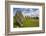 Drombeg stone circle, near Clonakilty, County Cork, Munster, Republic of Ireland, Europe-Nigel Hicks-Framed Photographic Print