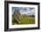 Drombeg stone circle, near Clonakilty, County Cork, Munster, Republic of Ireland, Europe-Nigel Hicks-Framed Photographic Print