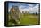 Drombeg stone circle, near Clonakilty, County Cork, Munster, Republic of Ireland, Europe-Nigel Hicks-Framed Premier Image Canvas