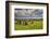 Drombeg stone circle, near Clonakilty, County Cork, Munster, Republic of Ireland, Europe-Nigel Hicks-Framed Photographic Print