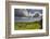 Drombeg stone circle, near Clonakilty, County Cork, Munster, Republic of Ireland, Europe-Nigel Hicks-Framed Photographic Print