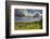 Drombeg stone circle, near Clonakilty, County Cork, Munster, Republic of Ireland, Europe-Nigel Hicks-Framed Photographic Print