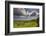 Drombeg stone circle, near Clonakilty, County Cork, Munster, Republic of Ireland, Europe-Nigel Hicks-Framed Photographic Print