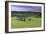 Drombeg Stone Circle-David Nunuk-Framed Photographic Print