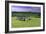 Drombeg Stone Circle-David Nunuk-Framed Photographic Print