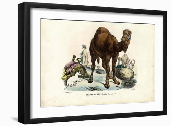 Dromedary, 1863-79-Raimundo Petraroja-Framed Giclee Print