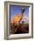 Dromedary Camel, Mother and Baby, Nanyuki, Kenya-Art Wolfe-Framed Photographic Print