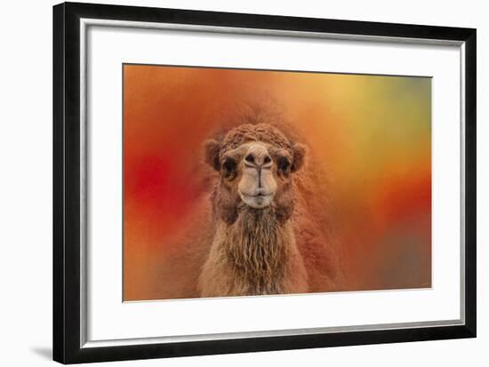 Dromedary Camel-Jai Johnson-Framed Giclee Print