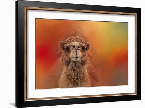 Dromedary Camel-Jai Johnson-Framed Giclee Print