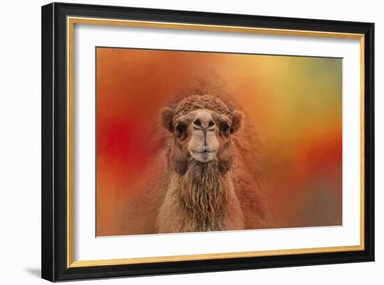 Dromedary Camel-Jai Johnson-Framed Giclee Print