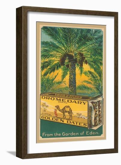 Dromedary Golden Dates-null-Framed Art Print