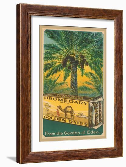 Dromedary Golden Dates-null-Framed Art Print