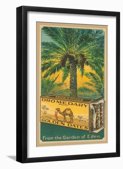 Dromedary Golden Dates-null-Framed Art Print