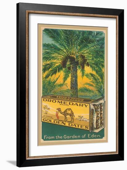 Dromedary Golden Dates-null-Framed Art Print